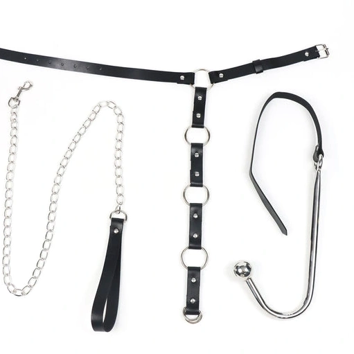 Kinky and Anal Collar 5853 with EverydayUse Hook Leash 0731